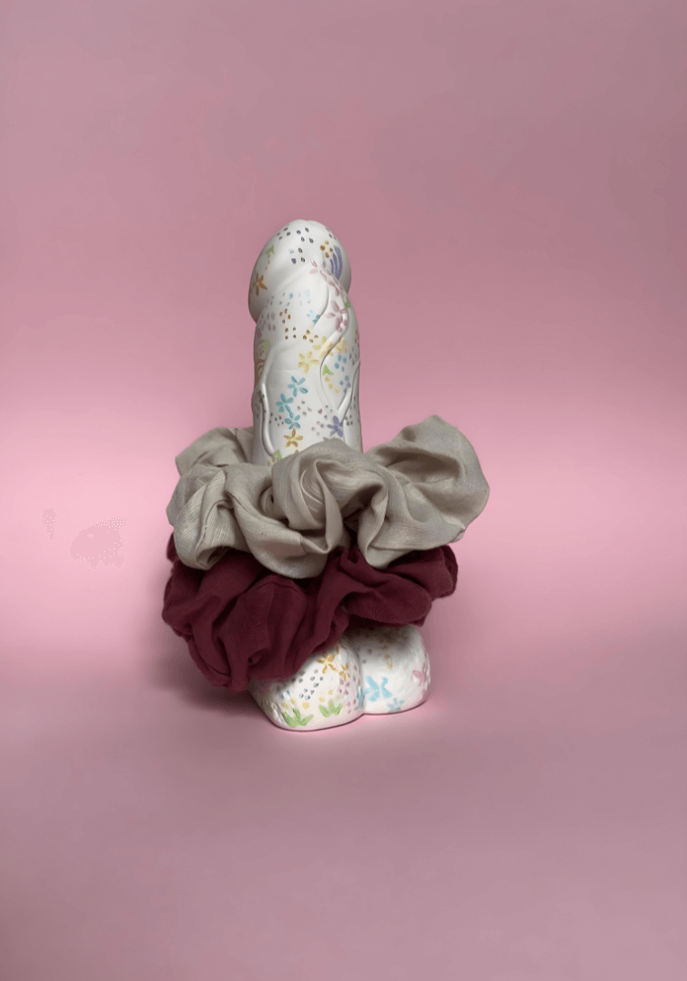 Paint A Penis Activity Kit