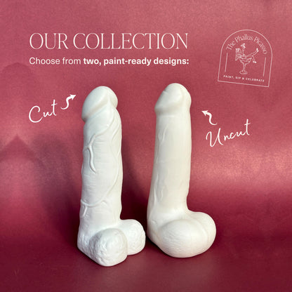 Paint A Penis Activity Kit